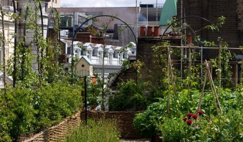 Ham Yard Hotel Rooftop in London