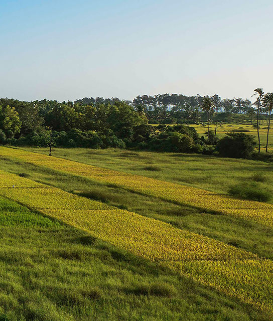 Goa, India - Design Hotels Goa, India - Design Hotels